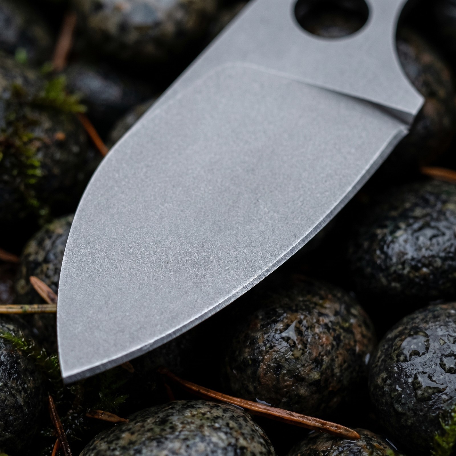 Stainless Steel EDC Fixed Blad - огляд і ціна Edc Carry All